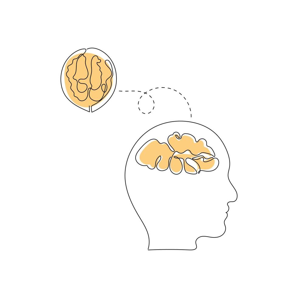 Walnuss - gesunde Nahrung für ein starkes Gehirn. Ernährungskonzept. eine Strichzeichnung. hand gezeichnete vektorillustration. vektor