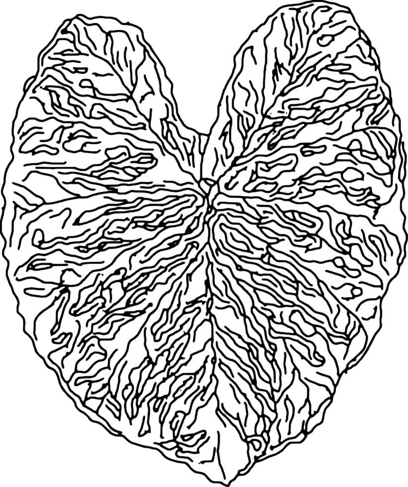 Vektor-Illustration der Herzform vektor