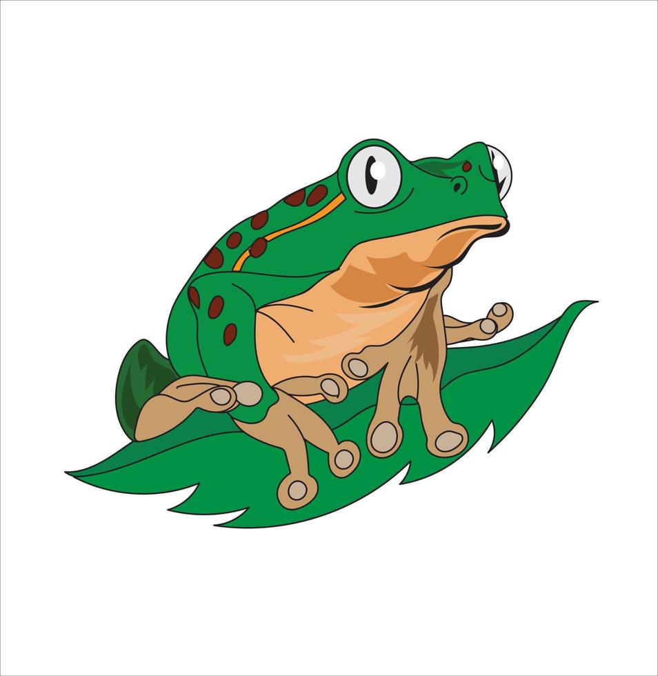 Frosch-Maskottchen-Logo-Vektorillustration auf weißem Hintergrund vektor
