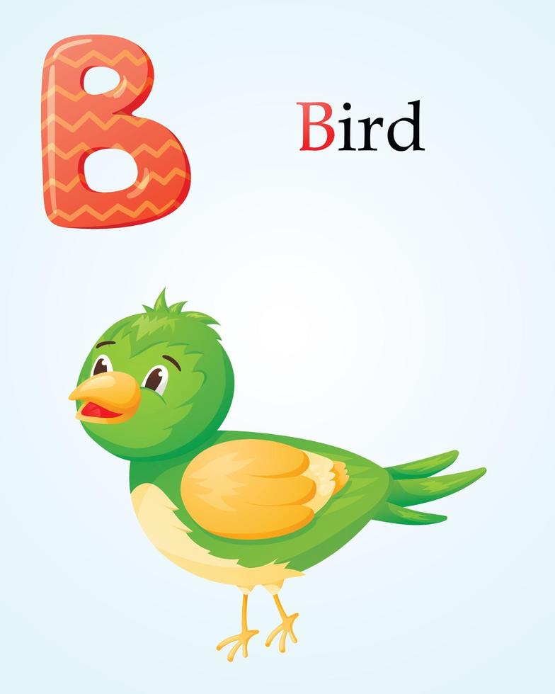 kindliche bannervorlage mit alphabet buchstabe b und karikaturbild eines vogels. vektor
