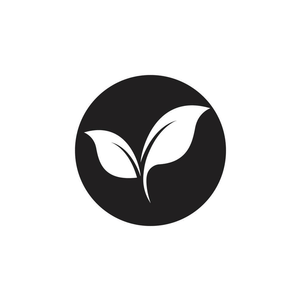 blatt logo ökologie natur vektor