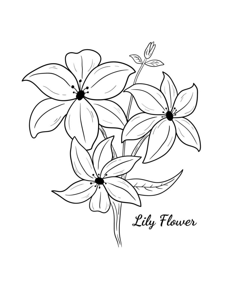 das schöne lilienblumenvektor-illustrationsdesign vektor