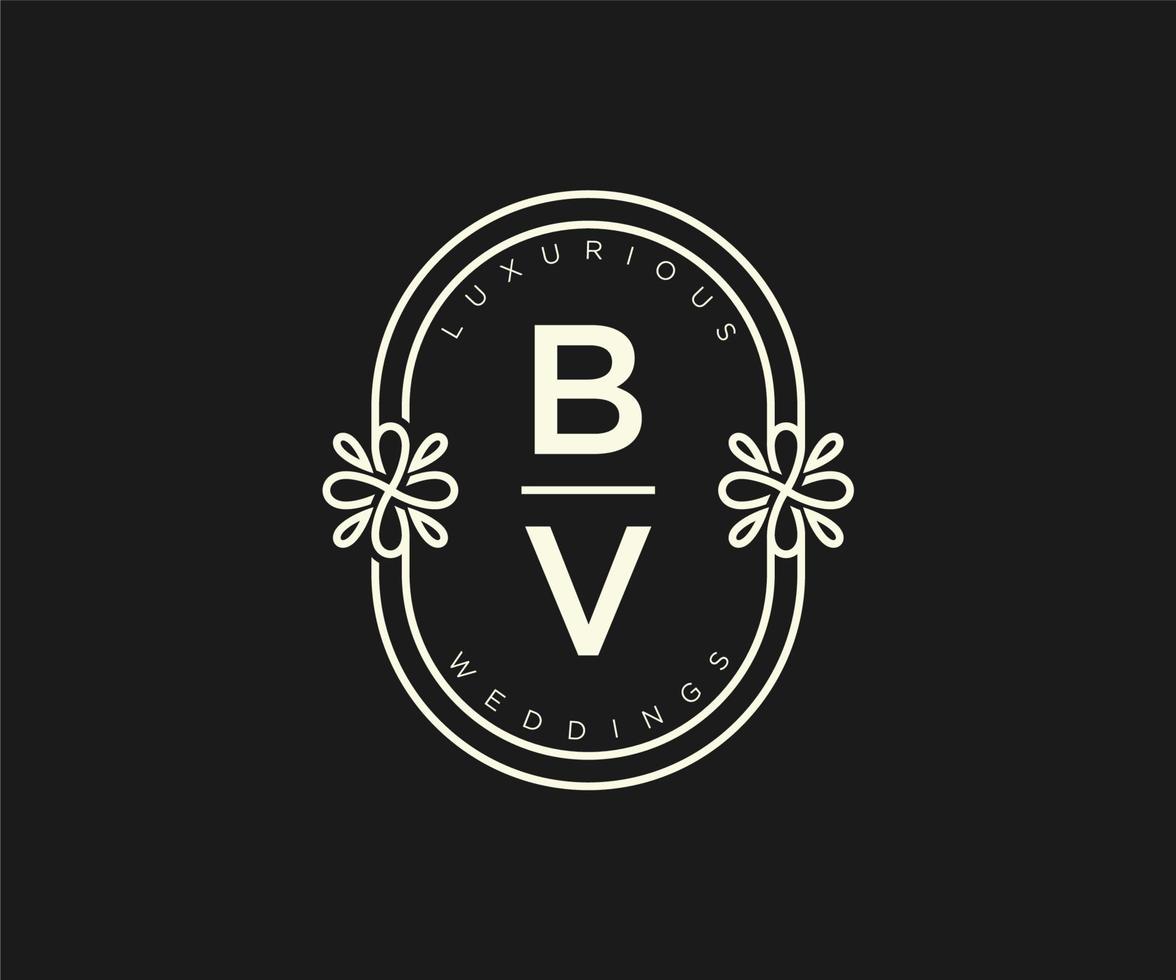 bv initialer brev bröllop monogram logotyper mall, hand dragen modern minimalistisk och blommig mallar för inbjudan kort, spara de datum, elegant identitet. vektor