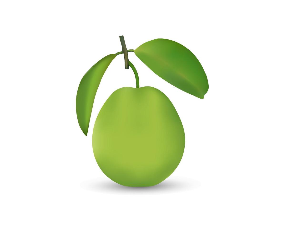 frisches realistisches Guave-Vektorbild mit grünem Blatt. Realistisches Vektorbild 3d der Guave im lokalisierten weißen Hintergrund vektor