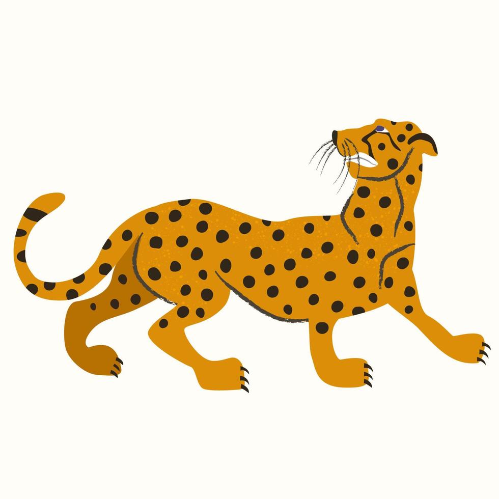 Der Gepard zeigt seine Zähne. Vektor-Illustration. vektor