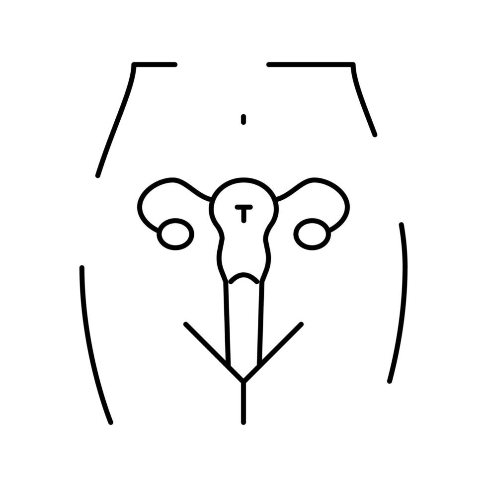 Uterus weibliches Organ Symbol Leitung Vektor Illustration