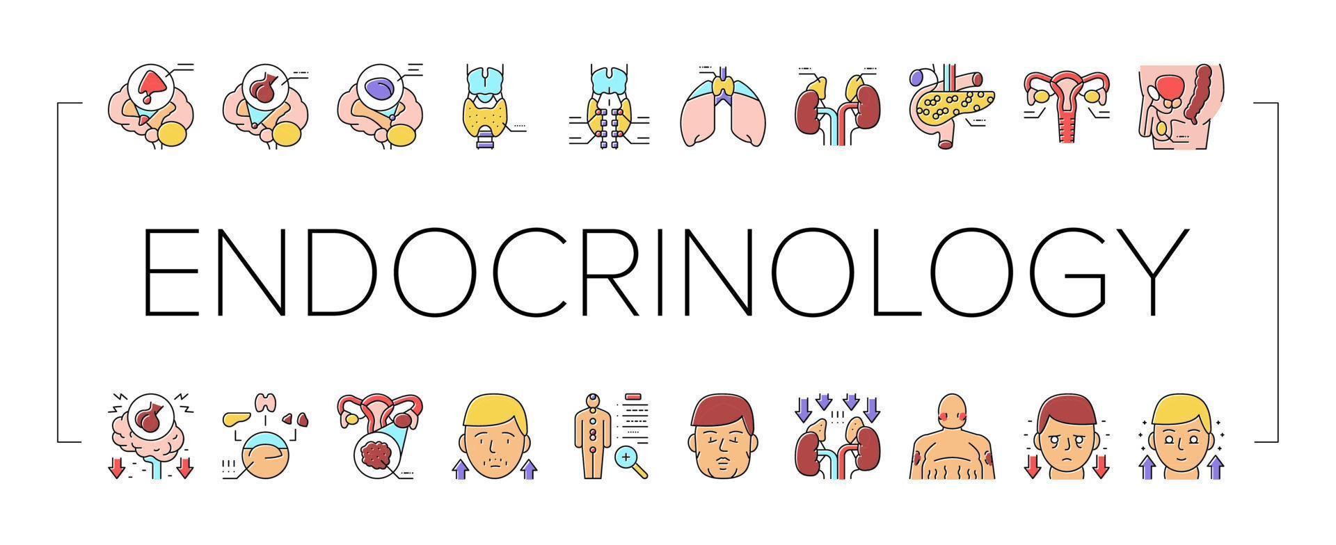 Symbole für medizinische Erkrankungen der Endokrinologie setzen Vektor