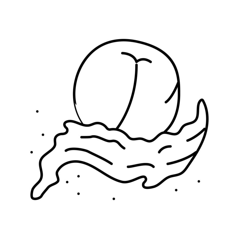 Splash Pfirsichfrucht Symbol Leitung Vektor Illustration