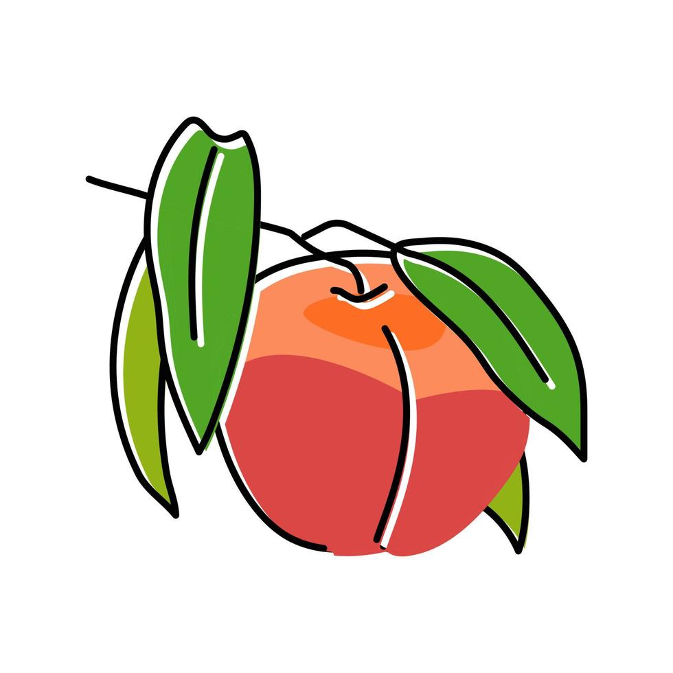 gren nektarin färsk Färg ikon vektor illustration