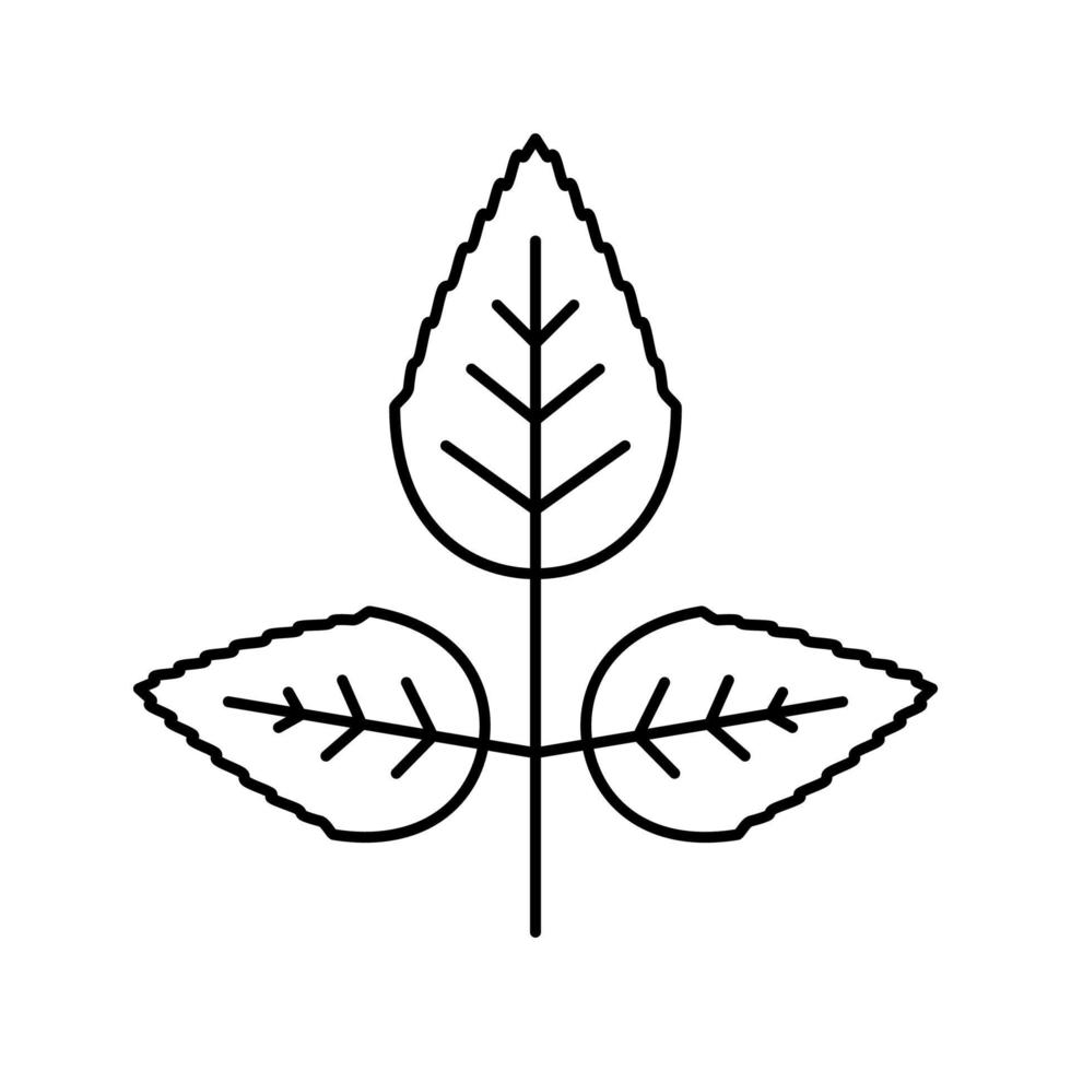 Rose Blume Blatt Symbol Leitung Vektor Illustration