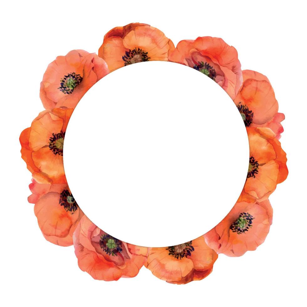 vattenfärg cirkel ram arrangemang med hand dragen sommar ljus röd vallmo blommor. isolerat på vit bakgrund. design för inbjudningar, bröllop, kärlek eller hälsning kort, papper, skriva ut, textil- vektor