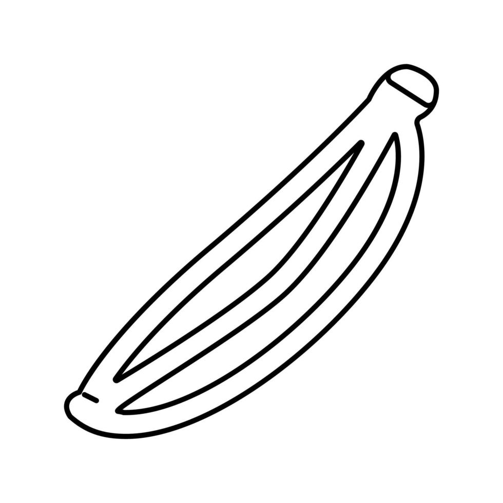 Kümmel Linie Symbol Vektor Illustration