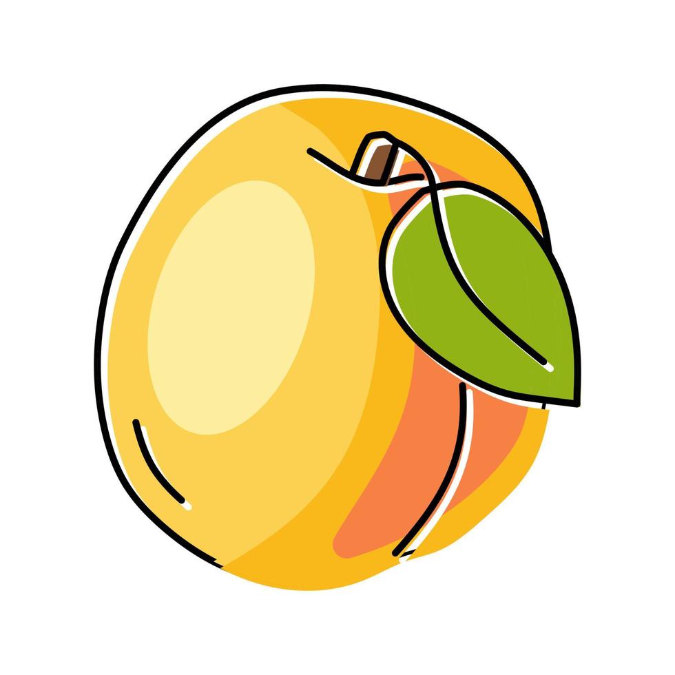 Blatt Aprikose Frucht Farbe Symbol Vektor Illustration
