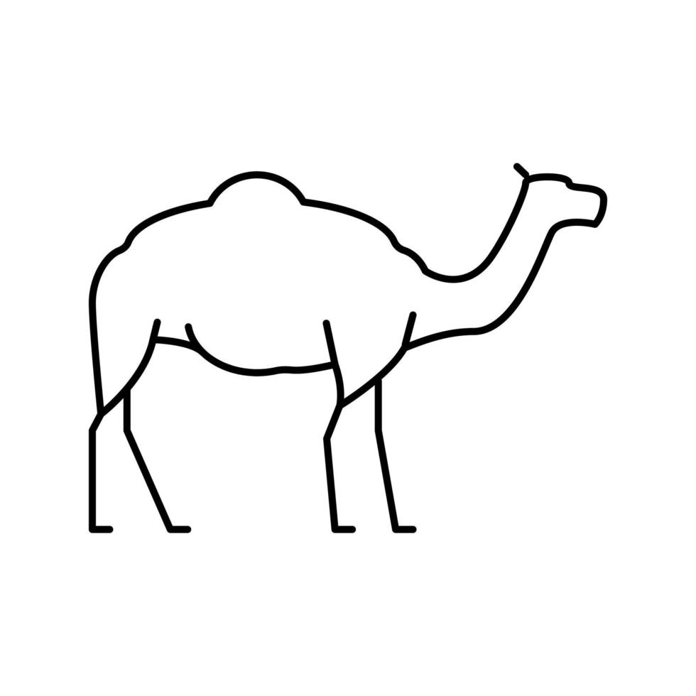 kamel djur linje ikon vektorillustration vektor
