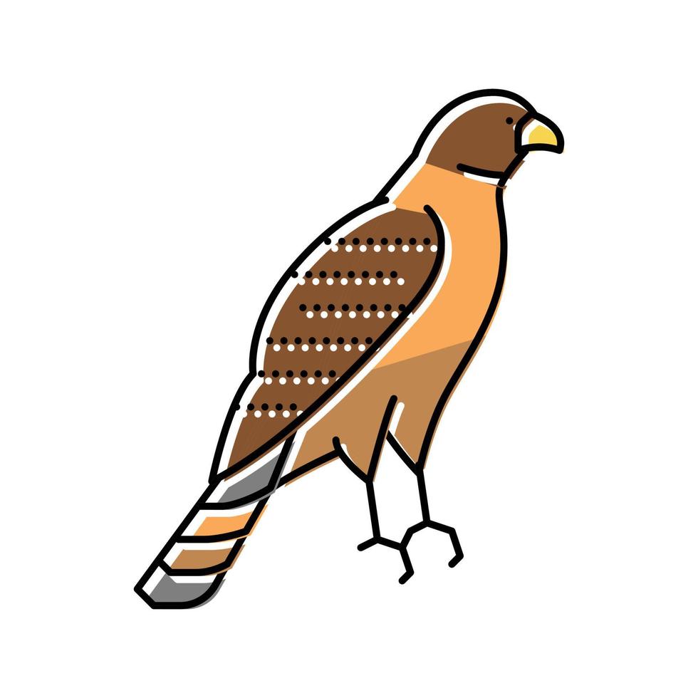 hawk fågel färg ikon vektor illustration