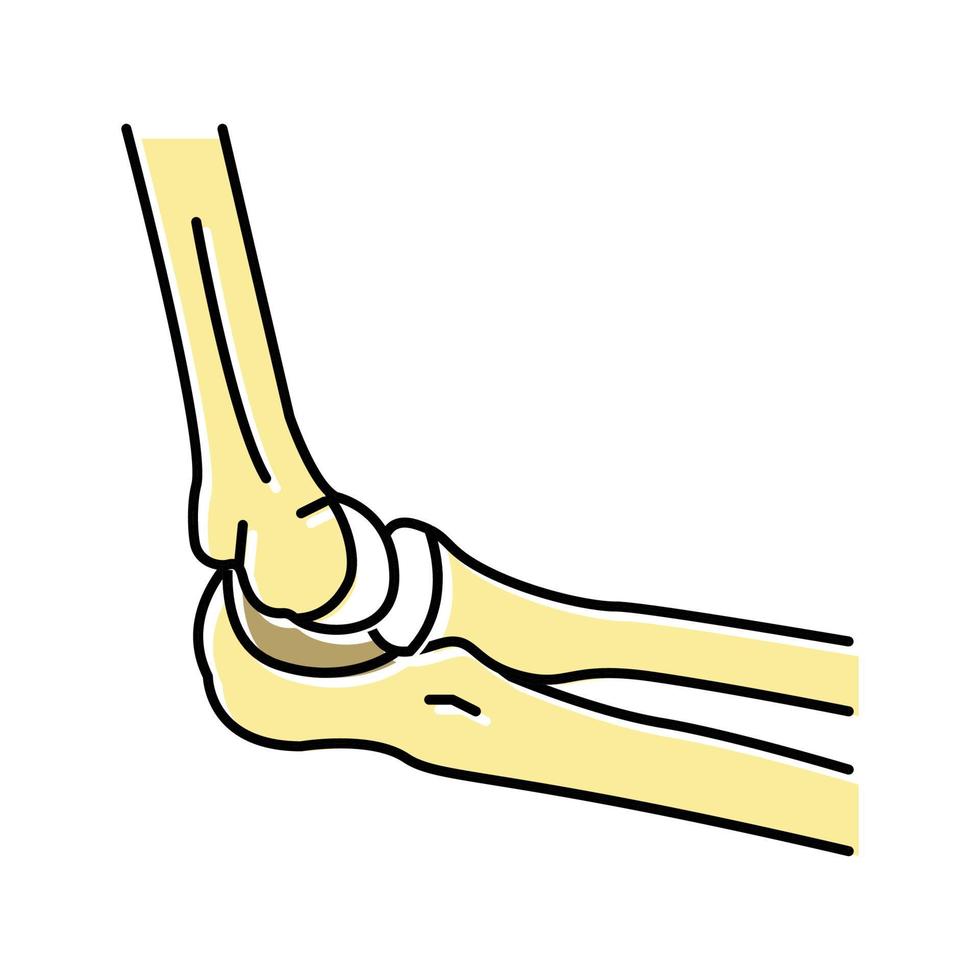 Ellbogen Knochen Farbe Symbol Vektor Illustration