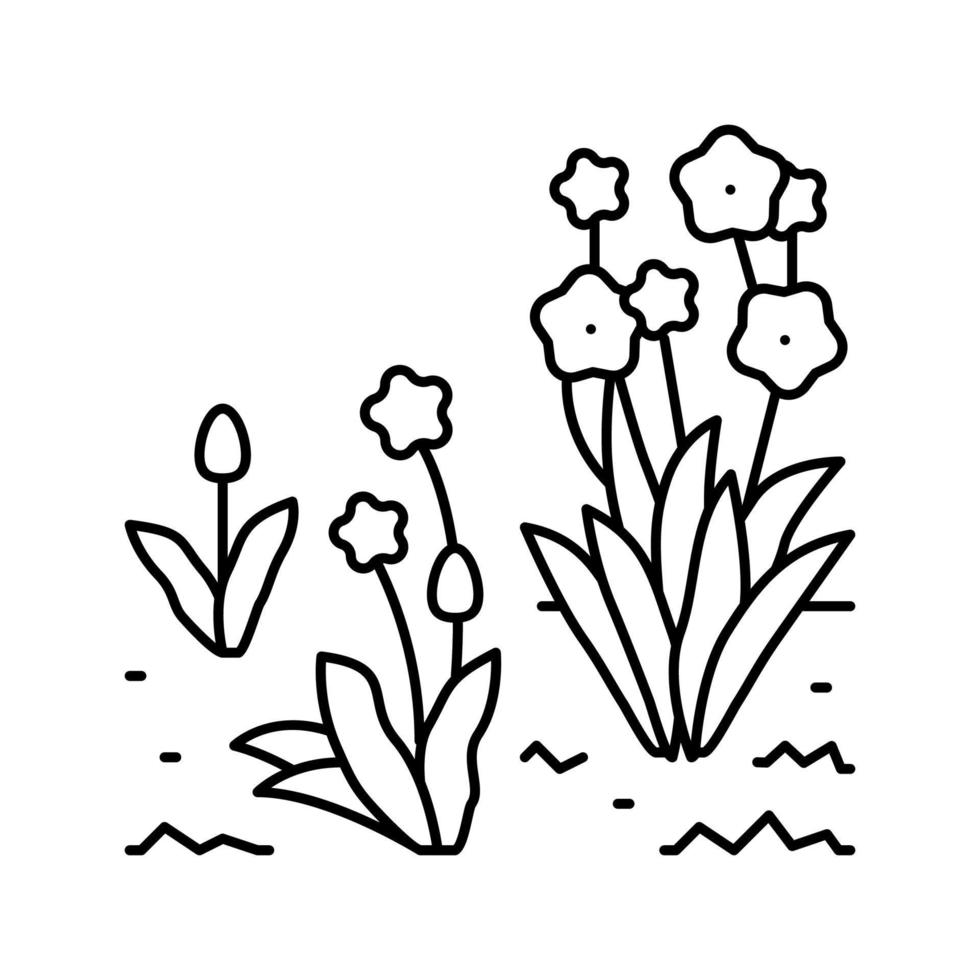 Wachstum Federlinie Symbol Vektor Illustration