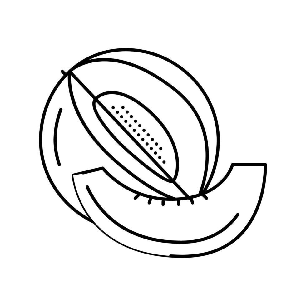skiva skära melon linje ikon vektor illustration