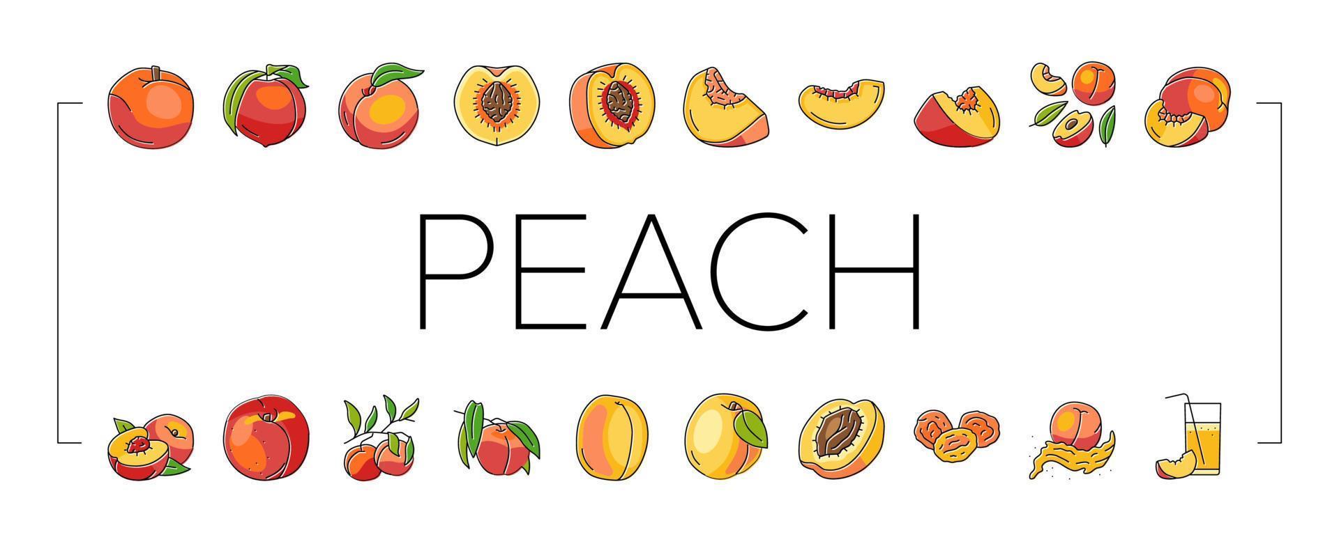 persika frukt nektarin saftig ikoner uppsättning vektor