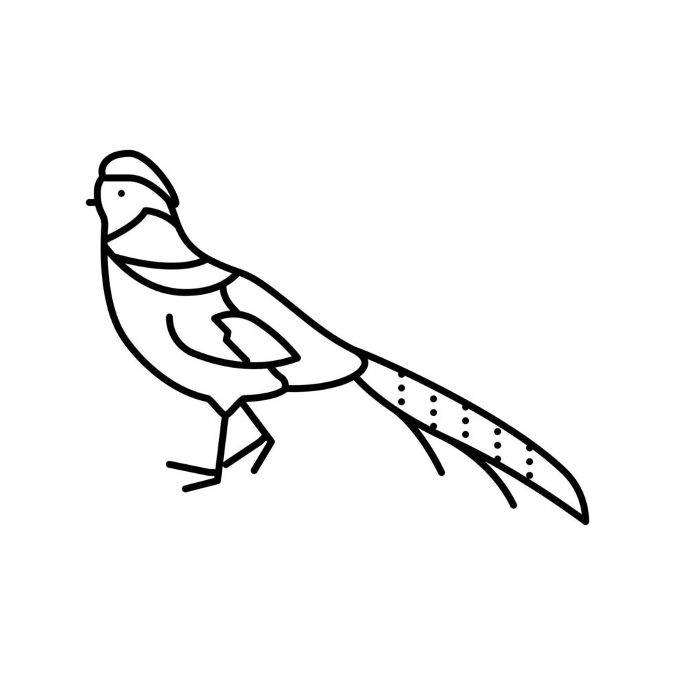 Goldfasan Vogel exotische Linie Symbol Vektor Illustration