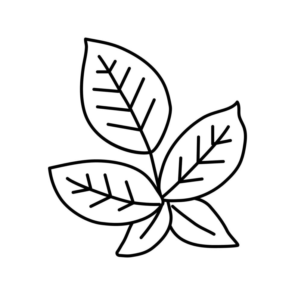 Honig Brombeere Symbol Leitung Vektor Illustration