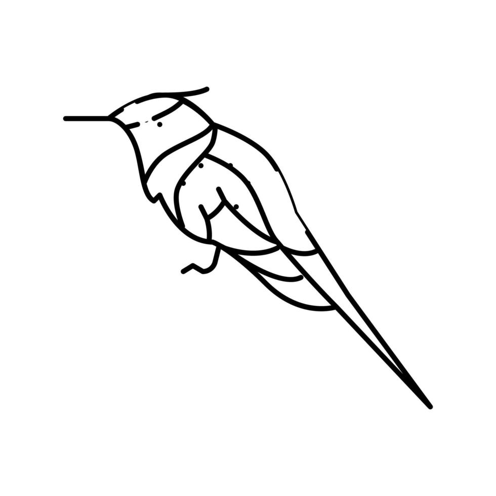 behornad sungem fågel exotisk linje ikon vektor illustration