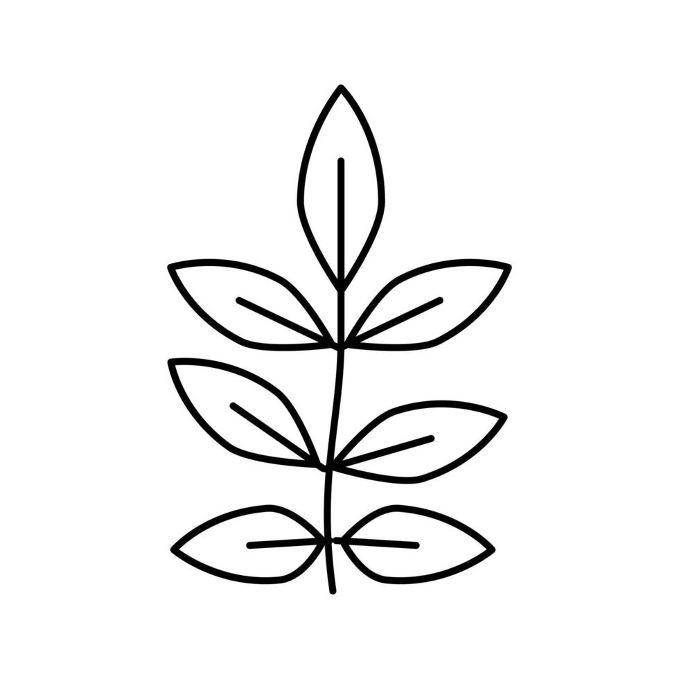 Ascheblattlinie Symbol Vektor Illustration