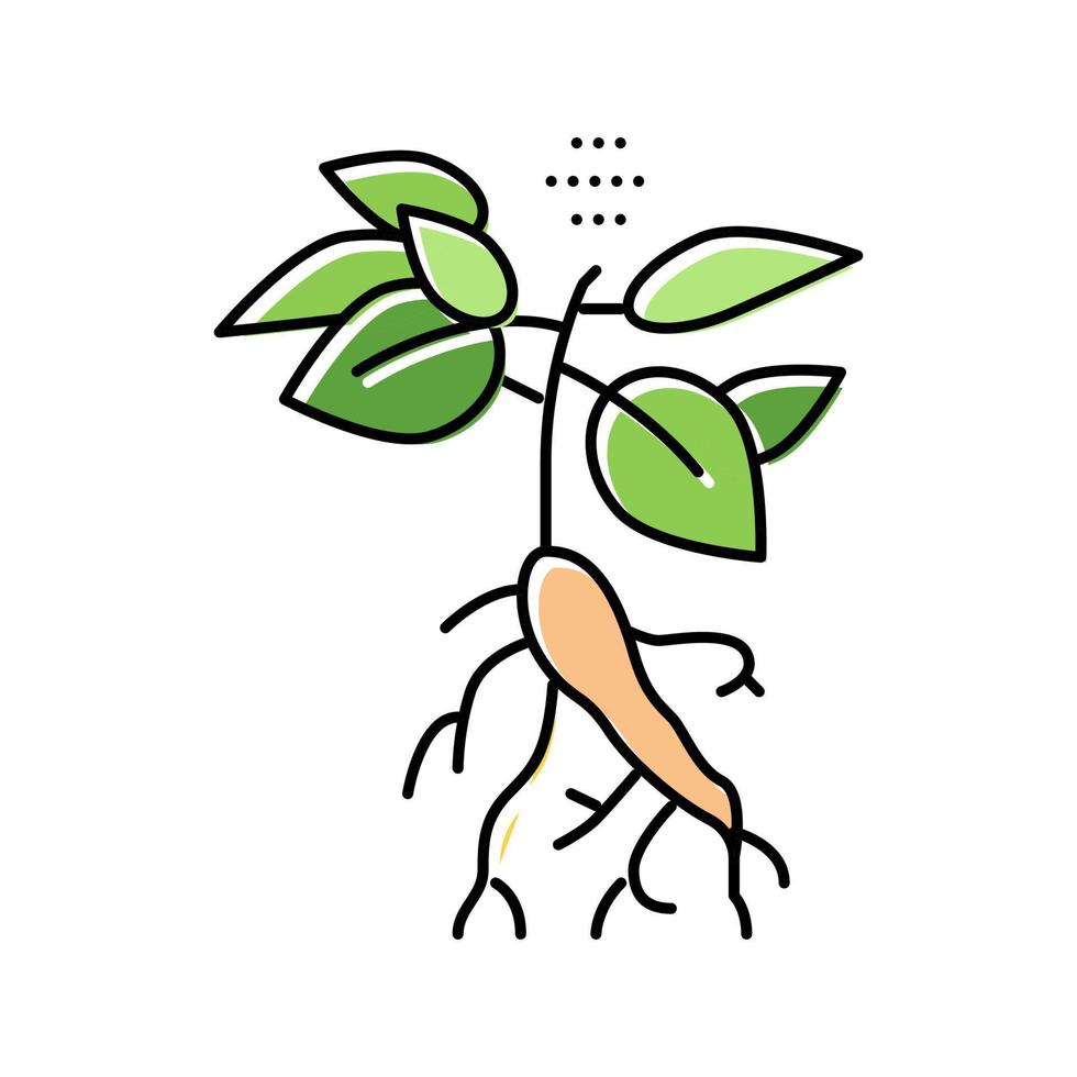 ginseng pflanze farbe symbol vektor illustration