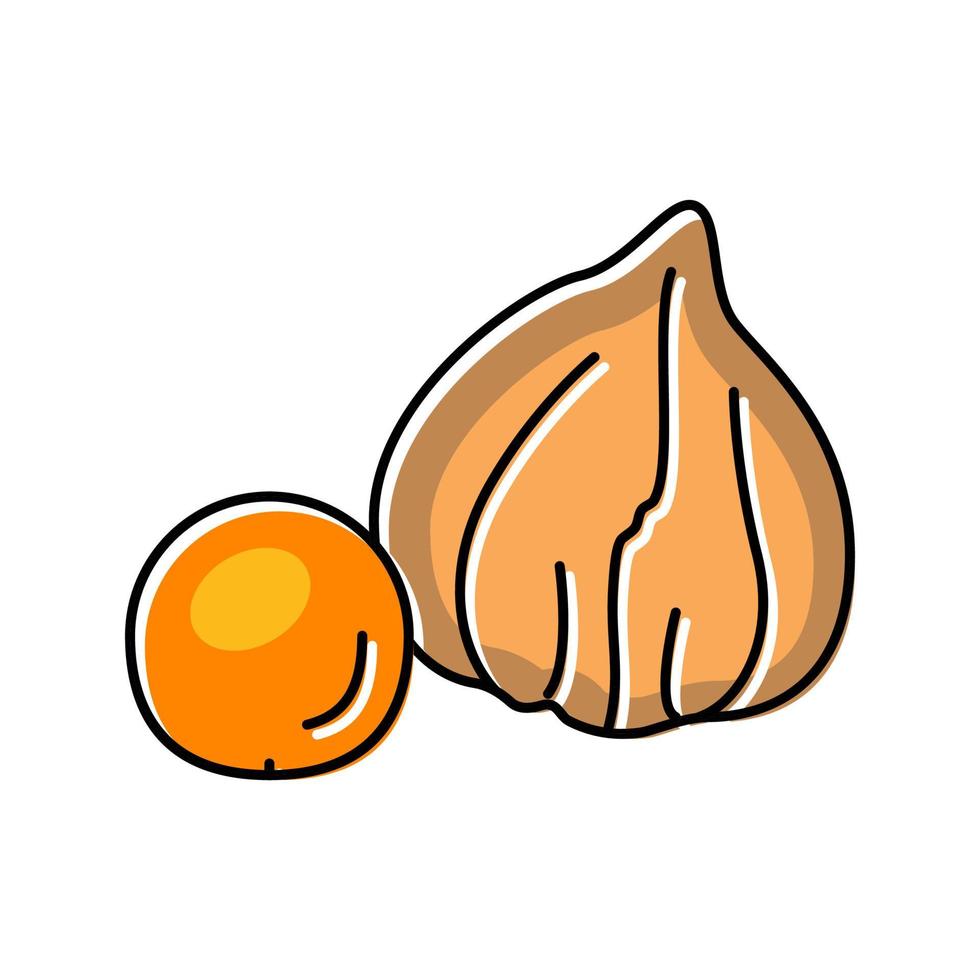 Physalis Herbstfarbe Symbol Vektor Illustration