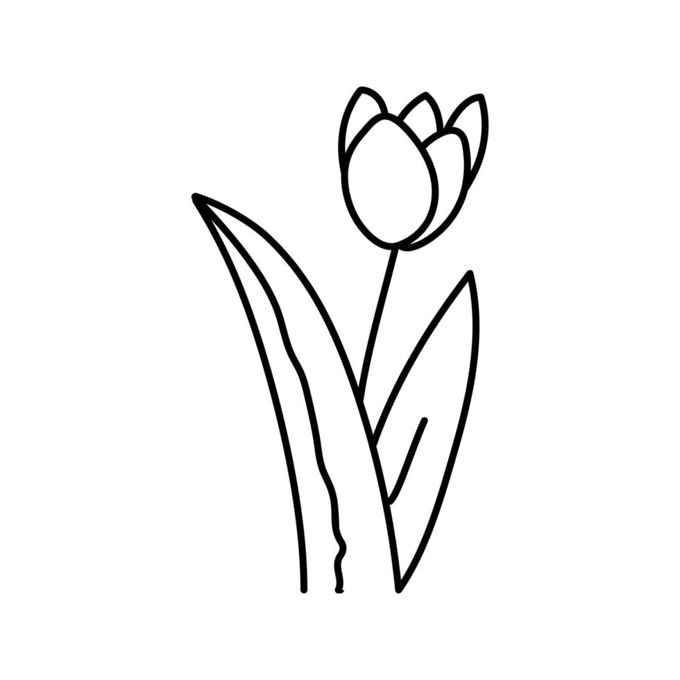 Tulpenblume Frühlingslinie Symbol Vektor Illustration