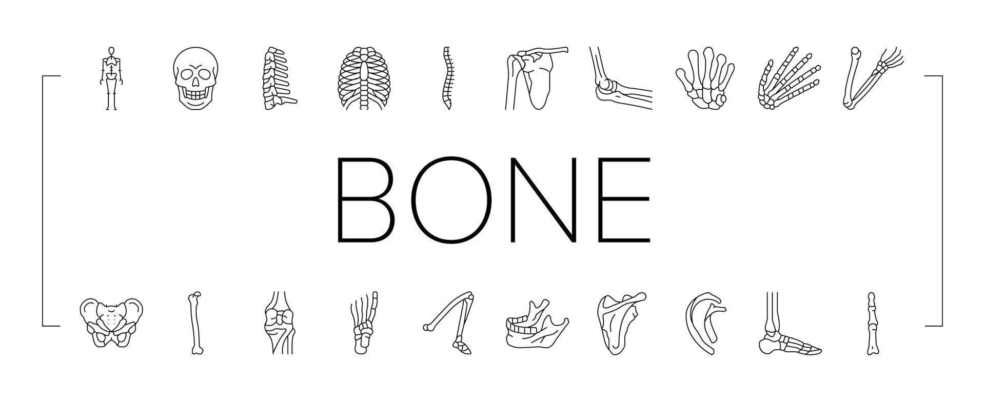 ben mänskliga skelett struktur ikoner set vektor