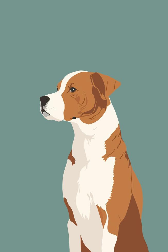 Amerikanischer Staffordshire Terrier. vektorillustration in einem flachen stil. vektor