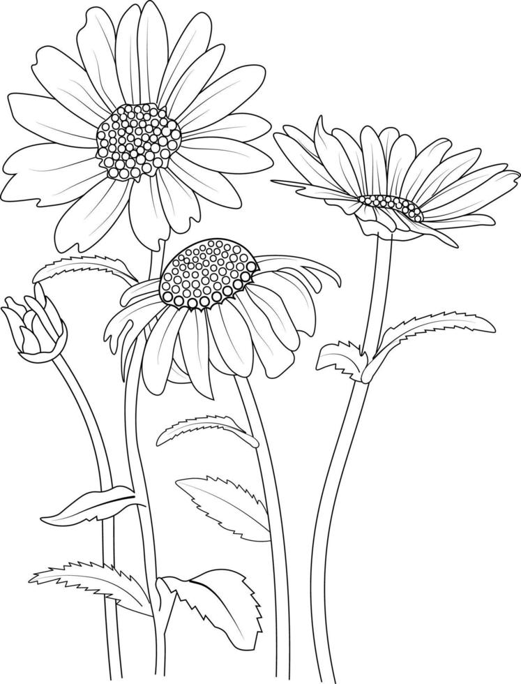 Vektorskizze von Gänseblümchen. Vektorillustration einer schönen Blume mit einem Blumenstrauß aus Kamillenblüten und -blättern, niedlichen Malvorlagen, vektor