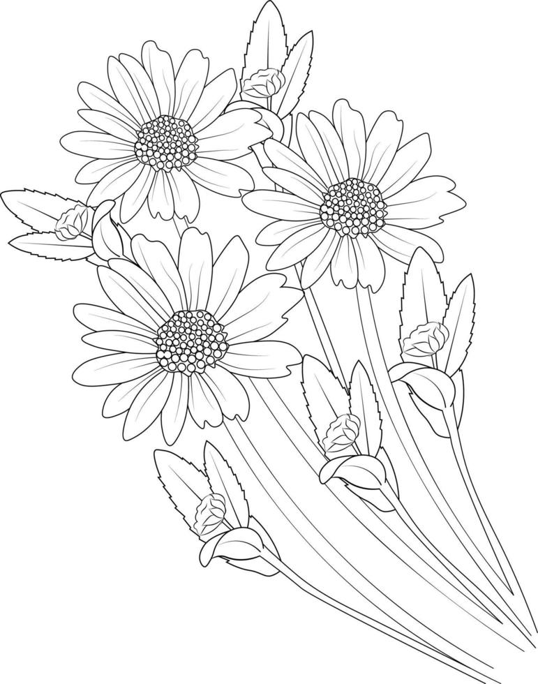 skizzenillustration von handgezeichneten gänseblümchenblumen isoliert auf weiß, frühlingsblume und tintenkunststil, botanischer garten, farbseite vektor