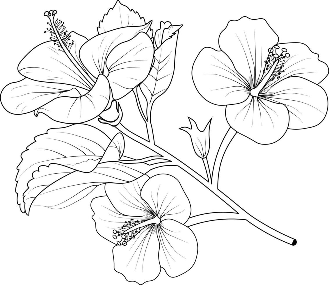 blommor färg bok, vektor skiss av hibiskus blommor, hand dragen sharaon blomma, samling av botanisk blad knopp illustration graverat bläck konst stil.