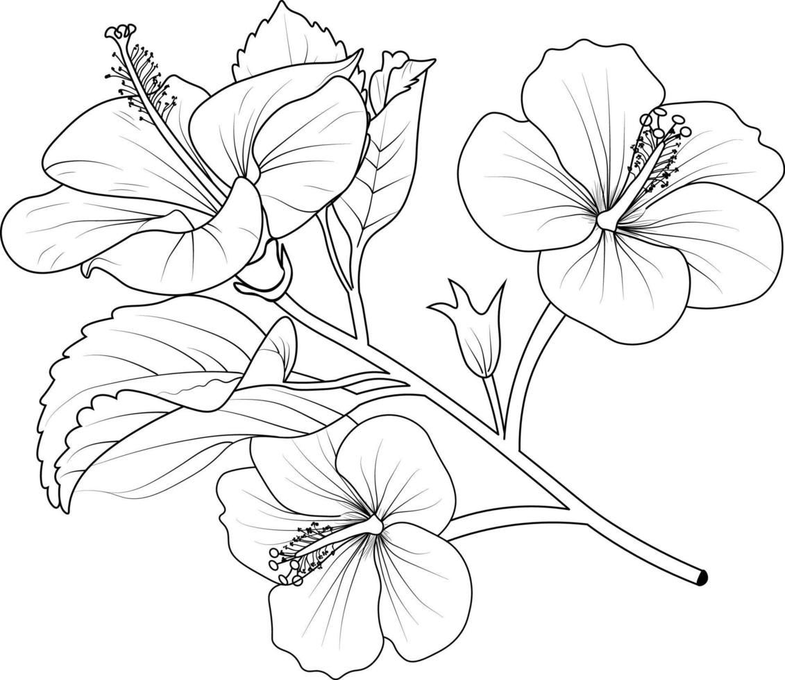 Blumen-Malbuch, Vektorskizze von Hibiskusblüten, handgezeichnete Sharaon-Blume, Sammlung botanischer Blattknospenillustration gravierter Tintenkunststil. vektor