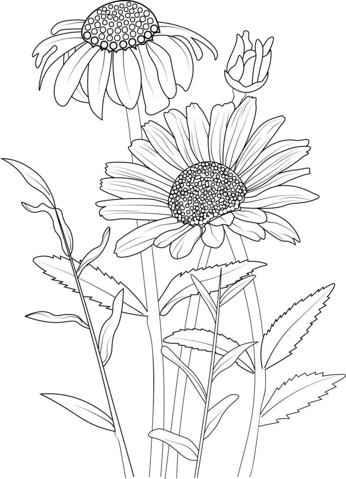 Blumen Zweig der Gänseblümchen-Blume Handzeichnung Vektor-Illustration Vintage-Design-Elemente Blumenstrauß natürliche Sammlung vektor