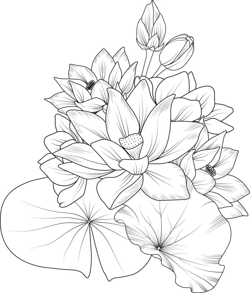 lotus blomma skiss konst, årgång stil tryckt för söt blomma färg pages.vector illustration av en skön blomma med en bukett av näckros, och löv. isolerat på vit bakgrund. vektor