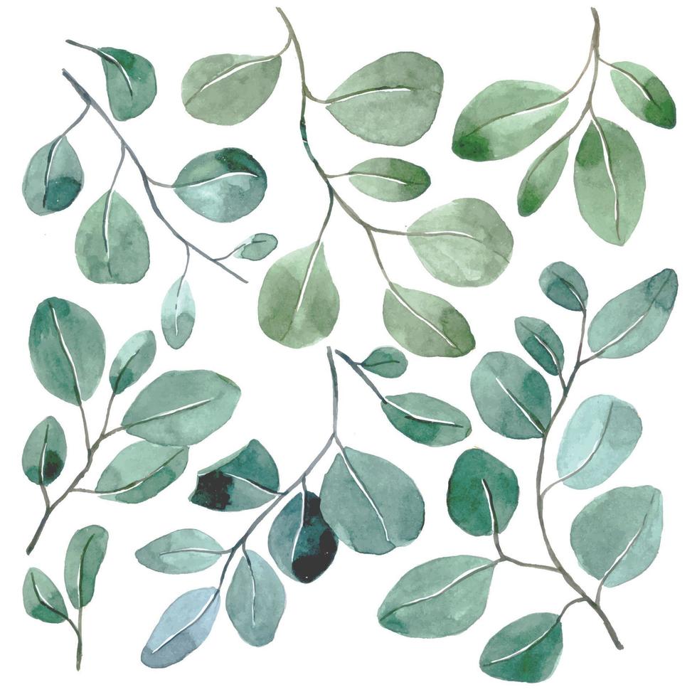 vattenfärg uppsättning med tropisk eukalyptus löv på en vit bakgrund. enkel abstrakt skriva ut med grön löv vektor