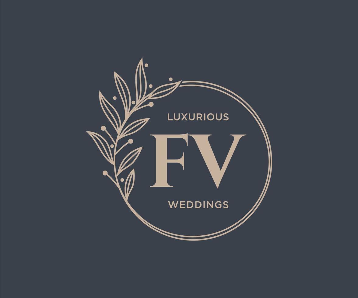 fv initialer brev bröllop monogram logotyper mall, hand dragen modern minimalistisk och blommig mallar för inbjudan kort, spara de datum, elegant identitet. vektor
