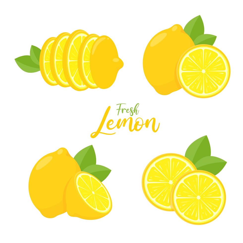 Vektor gelbe Zitronenfrucht mit saurem Geschmack zum Kochen und Auspressen, um gesunde Limonade zu machen