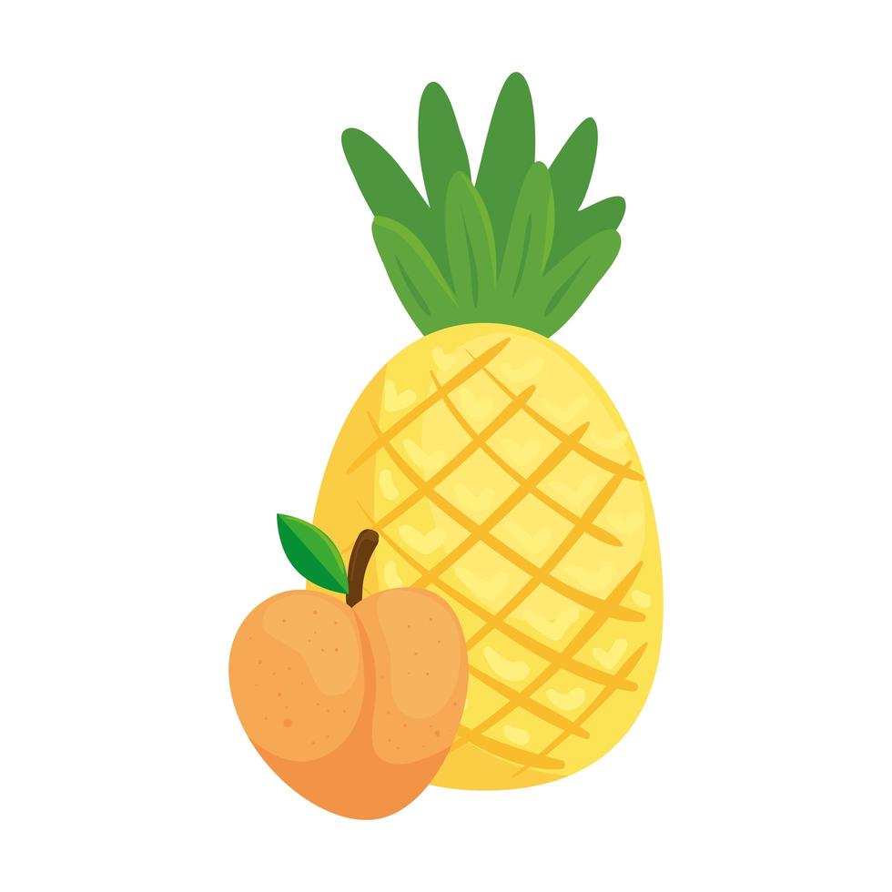 frische Früchte, Pfirsich und Ananas, im weißen Hintergrund vektor
