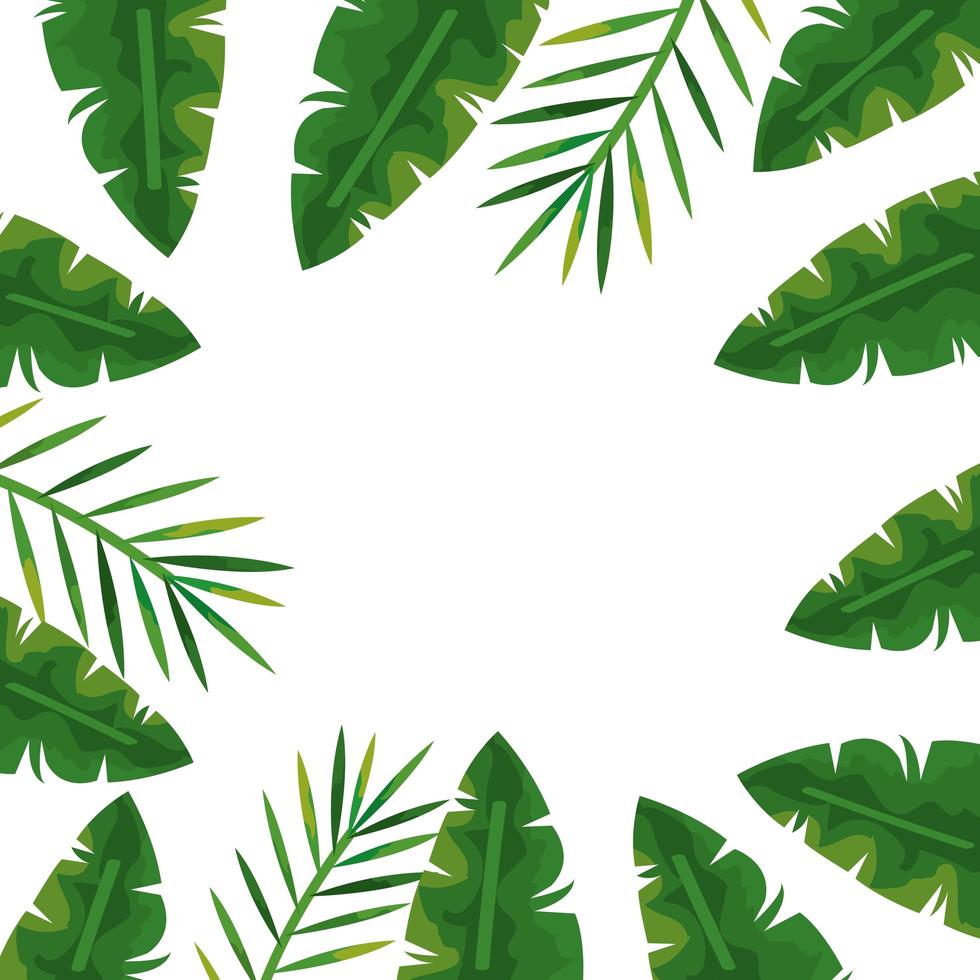 Rahmen der isolierten Ikone der tropischen natürlichen Blätter vektor