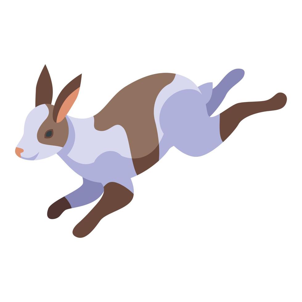 löpning kanin ikon isometrisk vektor. dutch sällskapsdjur vektor