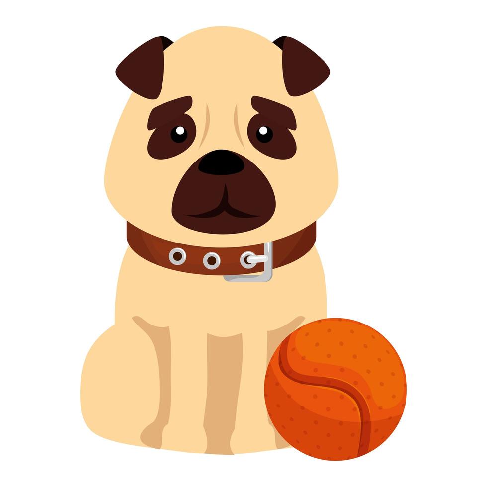 niedlicher Hund mit Ballspielzeug isolierte Ikone vektor