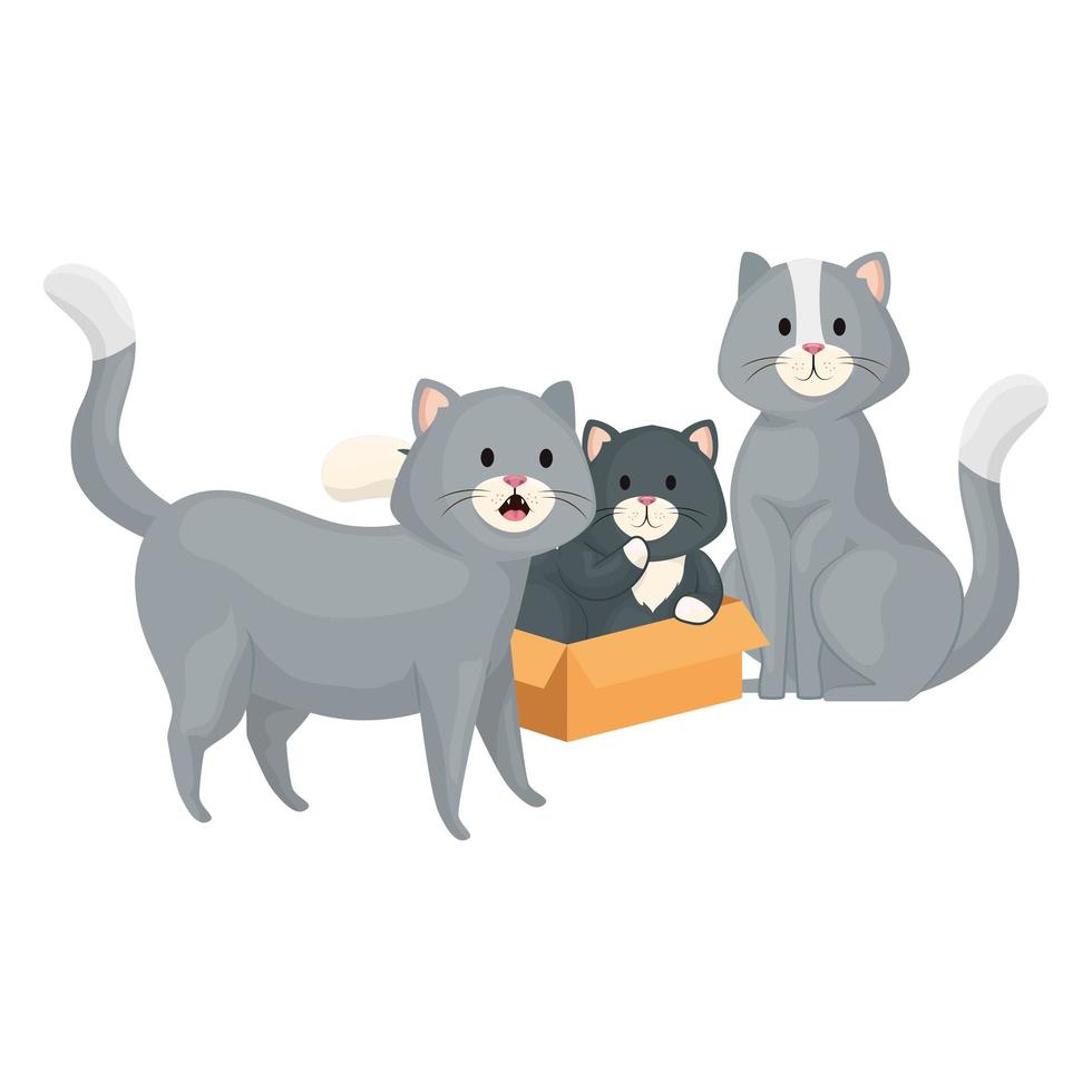 söta små katter med låda kartong isolerad ikon vektor