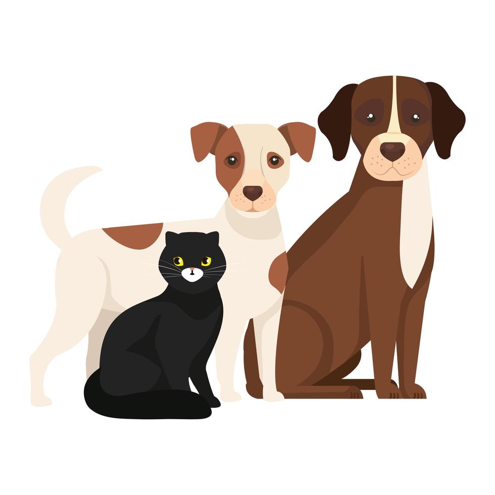 niedliche Hunde mit Katze schwarz isolierten Ikonen vektor