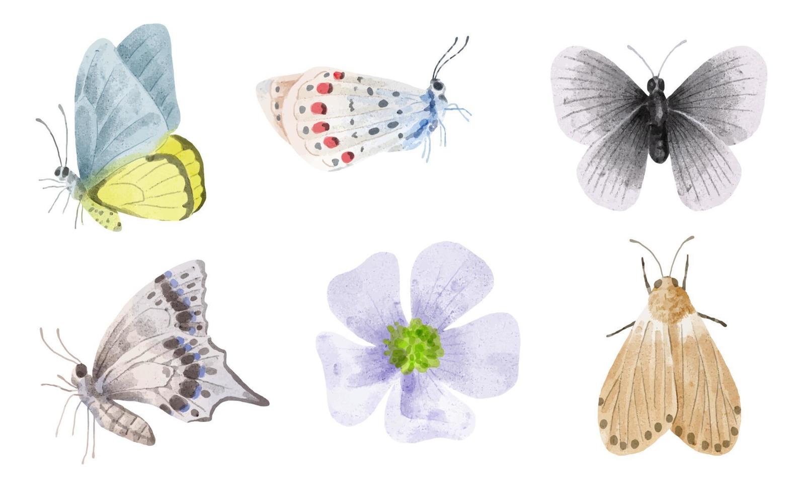 uppsättning objekt vektorillustration akvarellmålning av olika fjärilar vektor
