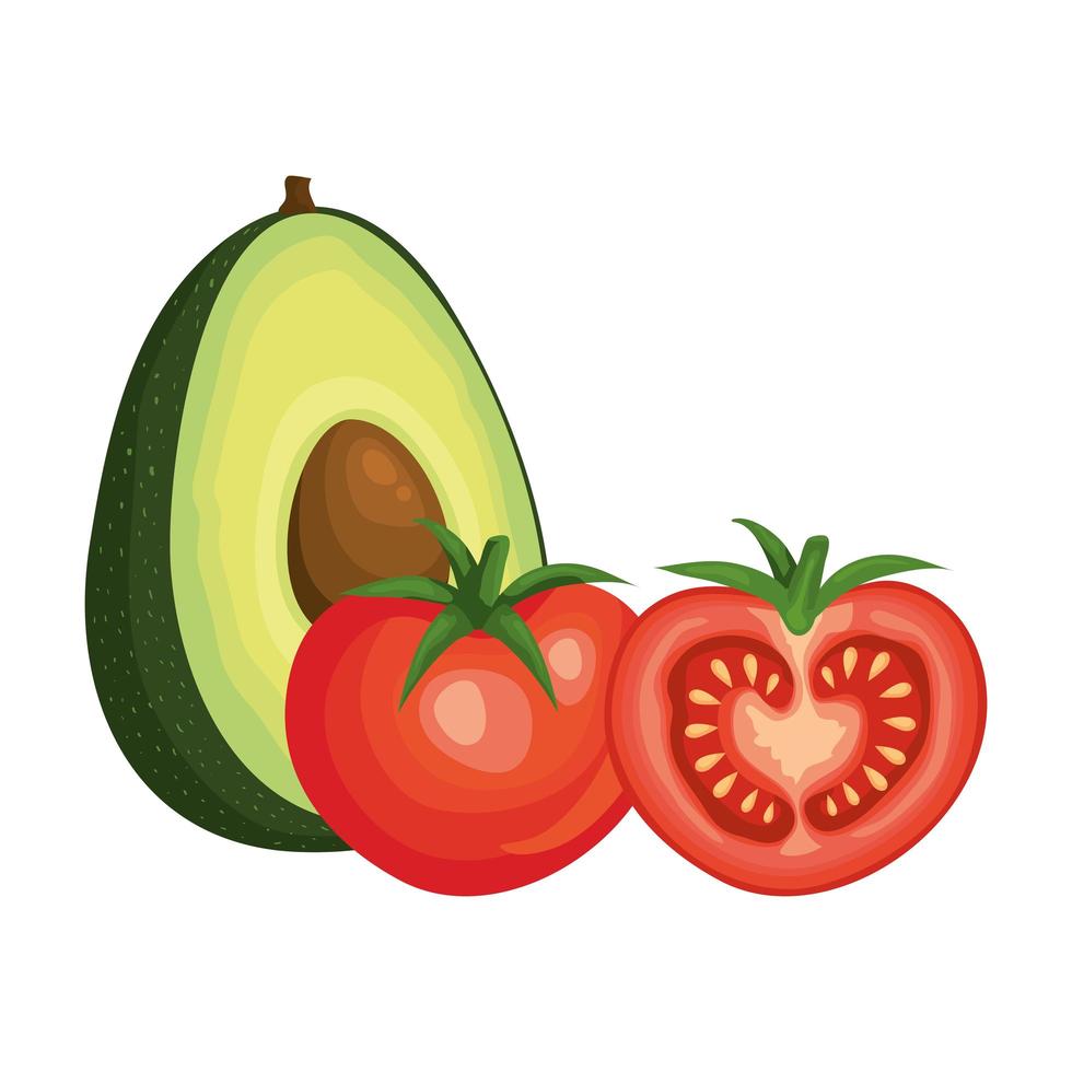 frische Tomaten mit Avocadogemüse vektor