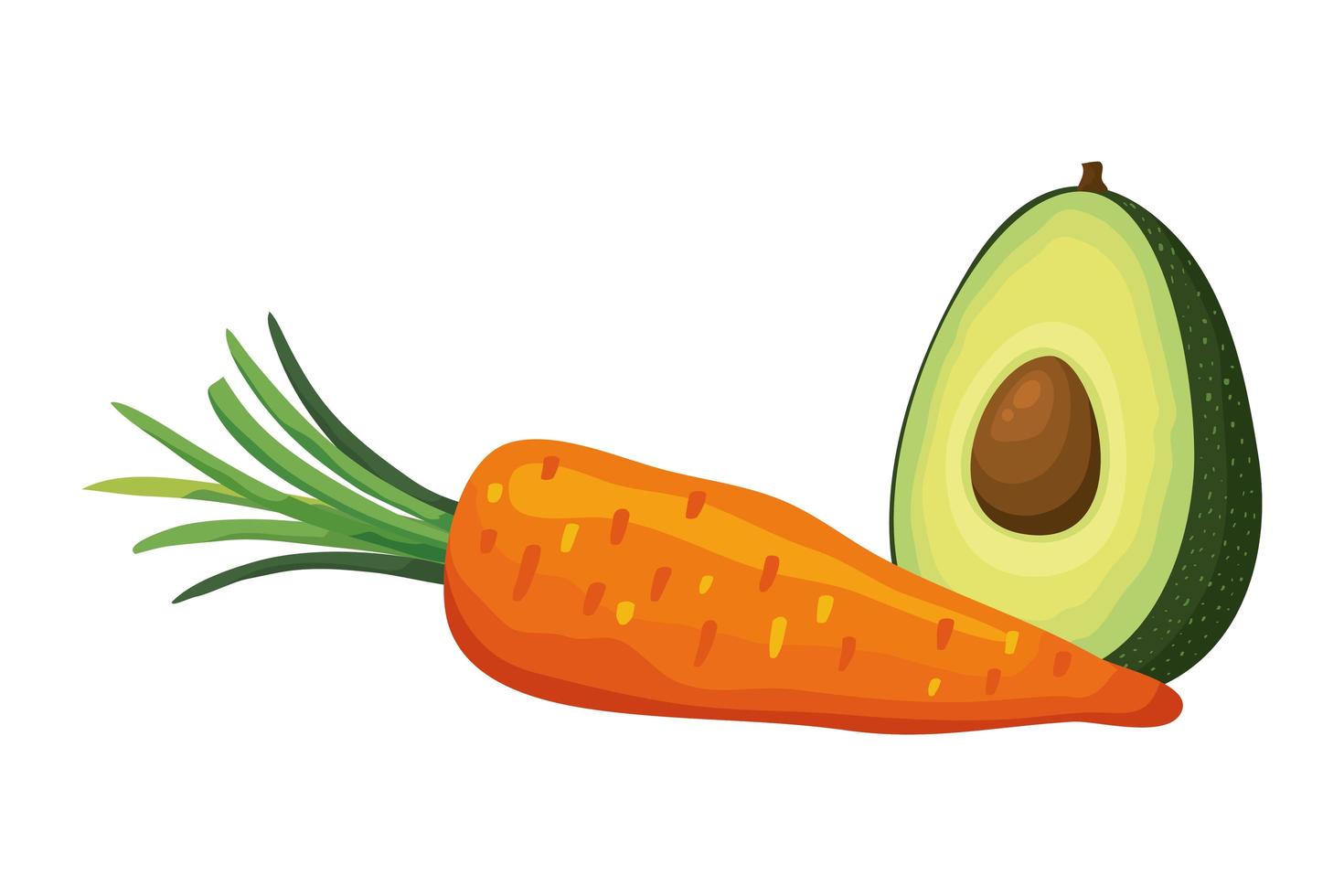 frische Karotte mit Avocado-Gemüse isolierte Ikone vektor